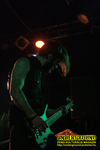 Gallery image 53