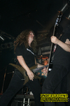 Gallery image 20
