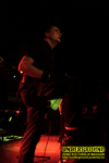 Gallery image 25