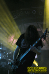 Gallery image 29