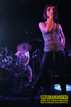 Gallery image 28