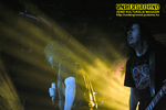 Gallery image 30