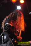 Gallery image 30