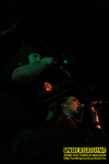 Gallery image 39