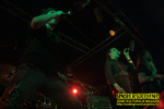 Gallery image 37