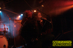 Gallery image 37