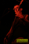 Gallery image 38