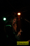 Gallery image 39