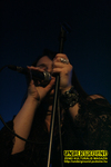 Gallery image 28