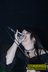 Gallery image 26