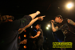 Gallery image 54