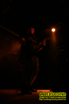 Gallery image 52