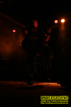 Gallery image 53