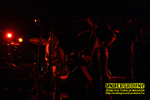 Gallery image 69