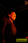 Gallery image 7