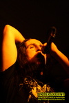 Gallery image 28