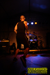 Gallery image 30