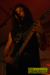 Gallery image 39