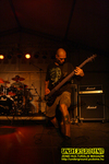 Gallery image 29