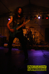 Gallery image 36