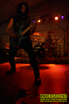 Gallery image 34