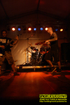 Gallery image 22