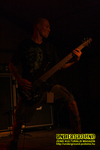 Gallery image 21