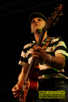 Gallery image 20