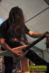 Gallery image 31