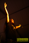 Gallery image 13
