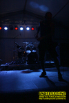 Gallery image 13