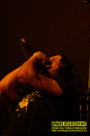 Gallery image 9