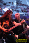 Gallery image 71