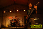 Gallery image 10