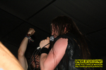 Gallery image 31