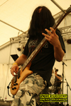 Gallery image 23