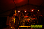 Gallery image 23