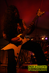 Gallery image 21