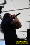 Gallery image 29