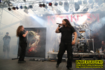 Gallery image 23