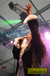 Gallery image 30