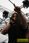 Gallery image 10