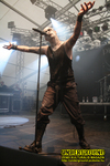 Gallery image 31