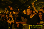 Gallery image 38