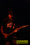 Gallery image 50