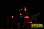 Gallery image 28