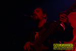 Gallery image 10