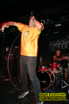 Gallery image 57