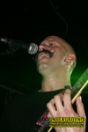 Gallery image 39
