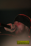 Gallery image 23